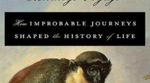 Monkey&#039;s Voyage cover image